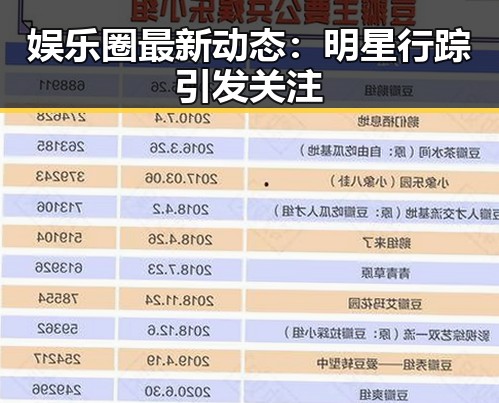 娱乐圈最新动态：明星行踪引发关注