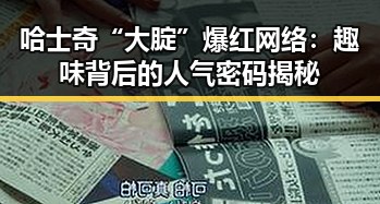 哈士奇“大腚”爆红网络：趣味背后的人气密码揭秘