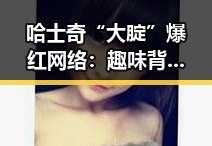 哈士奇“大腚”爆红网络：趣味背后的人气密码揭秘