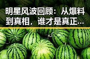 明星风波回顾：从爆料到真相，谁才是真正的赢家？