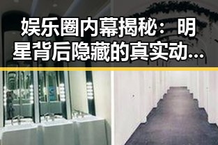 娱乐圈内幕揭秘：明星背后隐藏的真实动因与影响