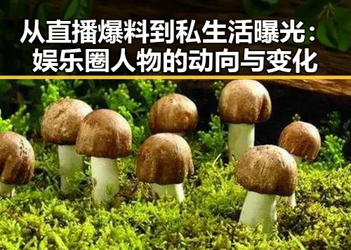 从直播爆料到私生活曝光：娱乐圈人物的动向与变化